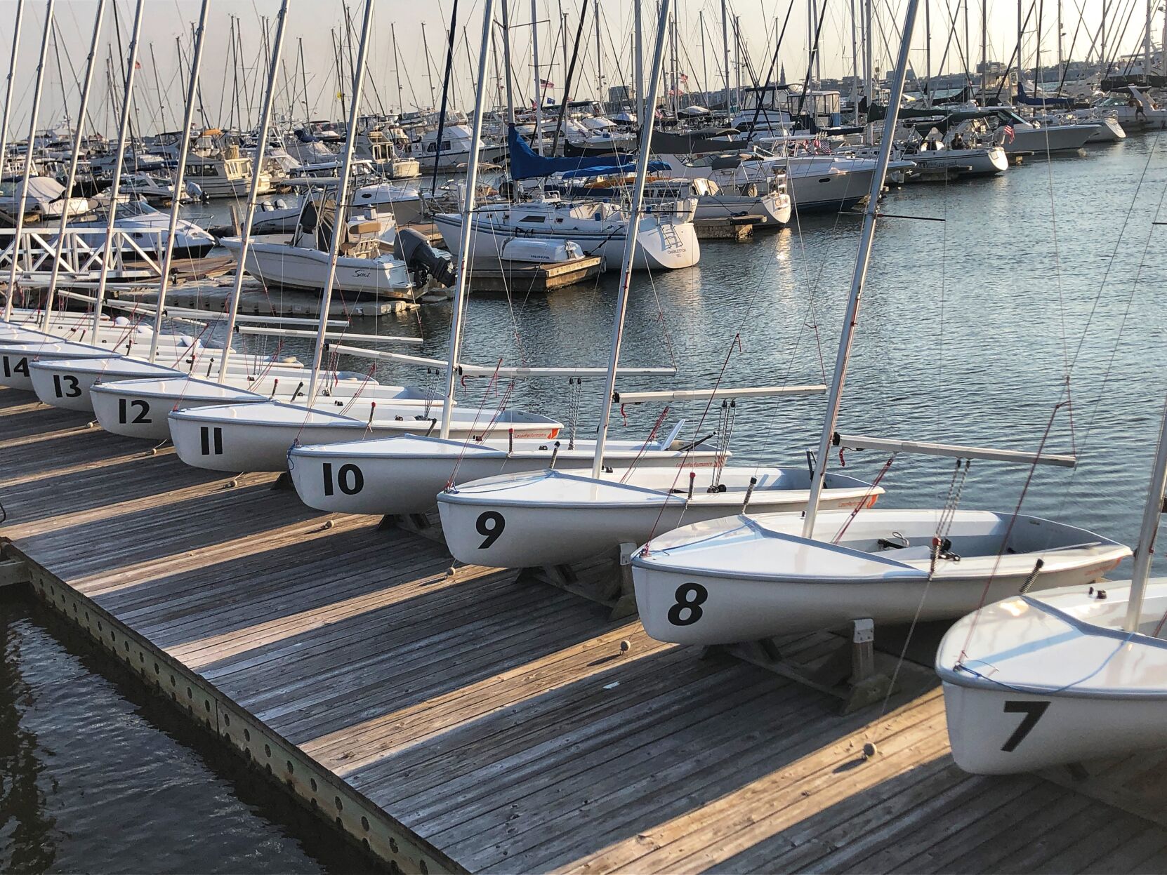 Sailboat fleet at Patriots Point Marina